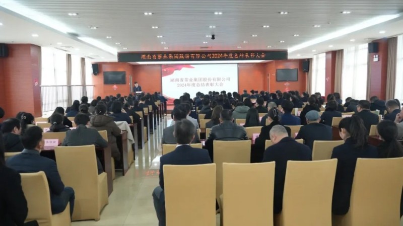 集團(tuán)公司2024年度總結(jié)表彰暨2025年工作動(dòng)員大會(huì)順利召開(kāi)